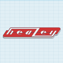 Screenshot-2023-06-21-at-6.12.19-AM.png Healey Logo