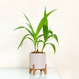 2.png MODERN JAPANDI STYLE PLANT POT WITH LINES