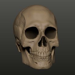 skull-color.jpg Skull