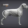 boxer-1.jpg Boxer dog 3D print model