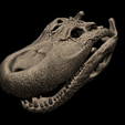 7.png Modelo de impresión 3D del cráneo del Purussaurus