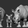 Rhino (6).jpg Rhino