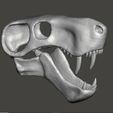 inostrancevia11.jpg Dinosaur skull, Inostrancevia cranium and jaw