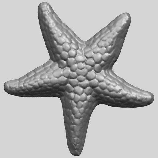 12_TDA0608_Starfish_02A01.png Download free file Starfish 02 • Template to 3D print, GeorgesNikkei