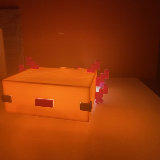 IMG_5801.jpg lámpara axolotl