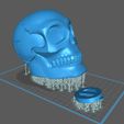 Skull_Mbox_2.jpg Skull Moneybox 3D Print Model-Chitubox supported
