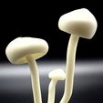 183701e1fdffb97dff62d90c1987d15b_display_large.jpg Glowing Mushrooms