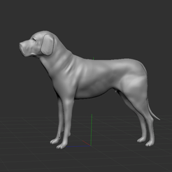 Fila Brasileiro Modelo 3D - TurboSquid 364625