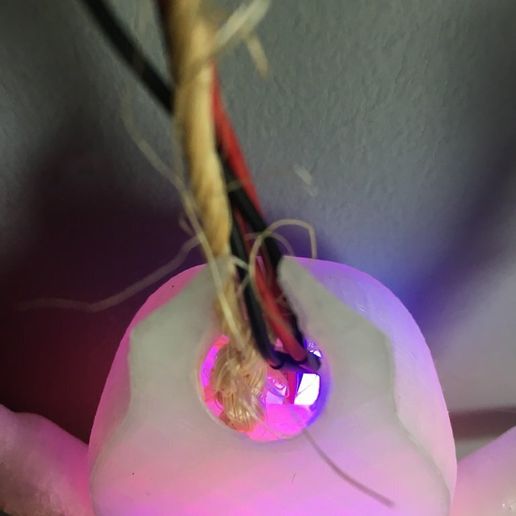 2b931c9c814ea5921b495808c3f71b1d_display_large.JPG Aranha suspensa