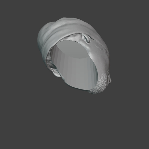 _-Unsaved-Blender-4.5.3-LTS-10_24_2025-11_01_40-PM.png ГОЛОВА РИКАРДО МИЛОСА ФИГУРКА