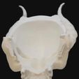 db91e1c7-8d3e-4afc-9259-68f9c4fcb962.jpg DEMON MASK