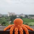 Cute Mini Octopus