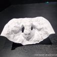 3D-printed-aquarium-cave-fish-hideout-pleco-cave-shrimp-shelter-fish-breeding-cave-betta-hideout-rep.jpg Unique Aquarium & Terrarium Elephant Nose Tunnel Cave | 3D Printable Fish Tank and Terrarium Decor | Fish, Reptile, Gecko and Snake Shelter STL