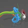 Captura.PNG3.png Anatomy of the Inner Ear / Anatomy of the Inner Ear