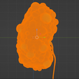 35.png 3D Model of Polycystic Kidney