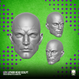 13.png Lex Luthor Fan Art Head 3D printable File