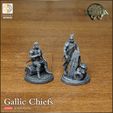 720X720-release-chiefs-4.jpg Gaul Chieftains - The Touta