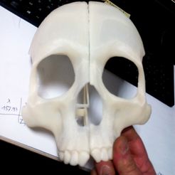 Mask_skull.jpg Download free STL file Mask Skull • 3D printer model, tamarelle
