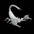 Capture-d’écran-2023-07-06-à-11.34.34.png scorpion
