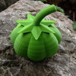 4.jpg STL-Datei Pumpkin / Pumpkin kostenlos・3D-Drucker-Modell zum herunterladen