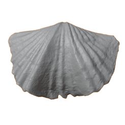G030a.jpg STL file Ordovician brachiopod 29・3D print model to download