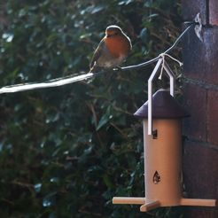 DSC_6122.jpg Bird Feeder pro.