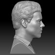 9.jpg Harry Styles bust 3D printing ready stl obj formats