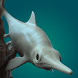 Ophthalmosaurus env.05-min.png Ophthalmosaurus in the environment