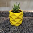 IMG_20210219_223224.jpg Fichier STL Mini pot à cactus à faible teneur en poly ananas・Design pour imprimante 3D à télécharger