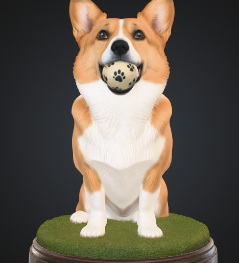 Corgi