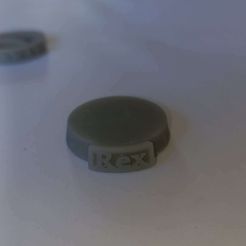 rex.jpeg STL file name plate rex・3D printable model to download