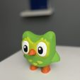 IMG_1257.jpg Duo the Owl / Duolingo