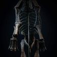 received_436721608358316-1-600x835.jpeg Brachiosaurus  Skeleton