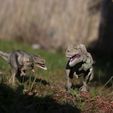 Alioramus dinosaurus