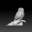 oww1.jpg Owl decorative