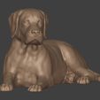 I4.jpg Dog - Labrador Statue
