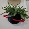 1000063197.jpg Saturn Wall Hanging Planter with Lid Pot 4in pot