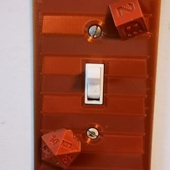 swith-cover-photo.jpg "Light Rage Quit" Light Switch Cover