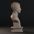 004.jpg Donnie Yen Bust Sculpture