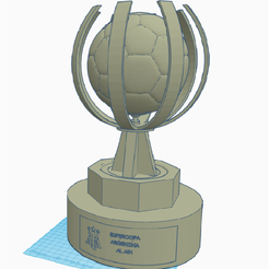 supercopa-internacional-3.png Argentine International Super Cup trophy