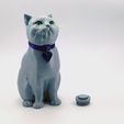 single_extrusion5.jpg STL file SCHRODINKY: BRITISH SHORTHAIR CAT IN A BOX – 3D PRINTABLE, MULTI PART MODEL - SINGLE EXTRUSION PACKAGE・Template to download and 3D print