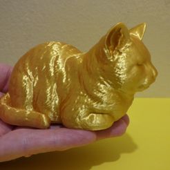 cathold.jpg Sleeping Kitten SECRET BOX-3d Printable Realistic Tabby Cat High Poly