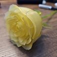 ROSE Mechanised Articulated Flower