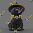 witch-cat02.jpg The witch cat