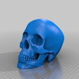0d54a1d110530a6ba6863f2ac9d9c177.png Small Skull