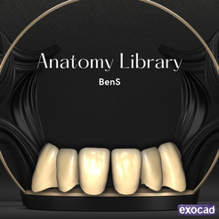 BenS.png 3D-Datei Zahnärztliche Bibliothek BenS・3D-druckbares Modell zum herunterladen