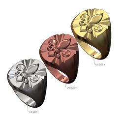Lily-Oval-Claw-marks-signet-ring-size7-8-9-00.jpg Fichier STL Lys héraldique Marques de griffes ovales Signet US tailles 7 8 9 Modèle imprimé en 3D・Modèle à télécharger et à imprimer en 3D