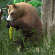 0_00020.png Bear DOWNLOAD Bear 3d model - animated for blender-fbx-unity-maya-unreal-c4d-3ds max - 3D printing Bear Bear