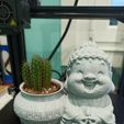 baby buddha