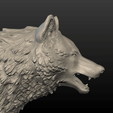 Wolf_Pose-15.png Wolf Figure